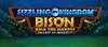 Sizzling Kingdom™: Bison